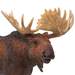 Load image into Gallery viewer, Moose Toy  by Safari LTD.